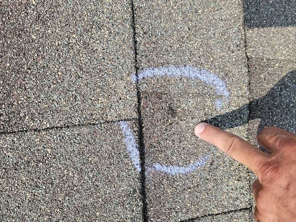 Hail-bruised asphalt shingles on a Twin Cities roof after a storm
