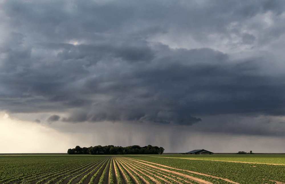 Roof Storm Damage Assessment: What to Check and What to Do Next