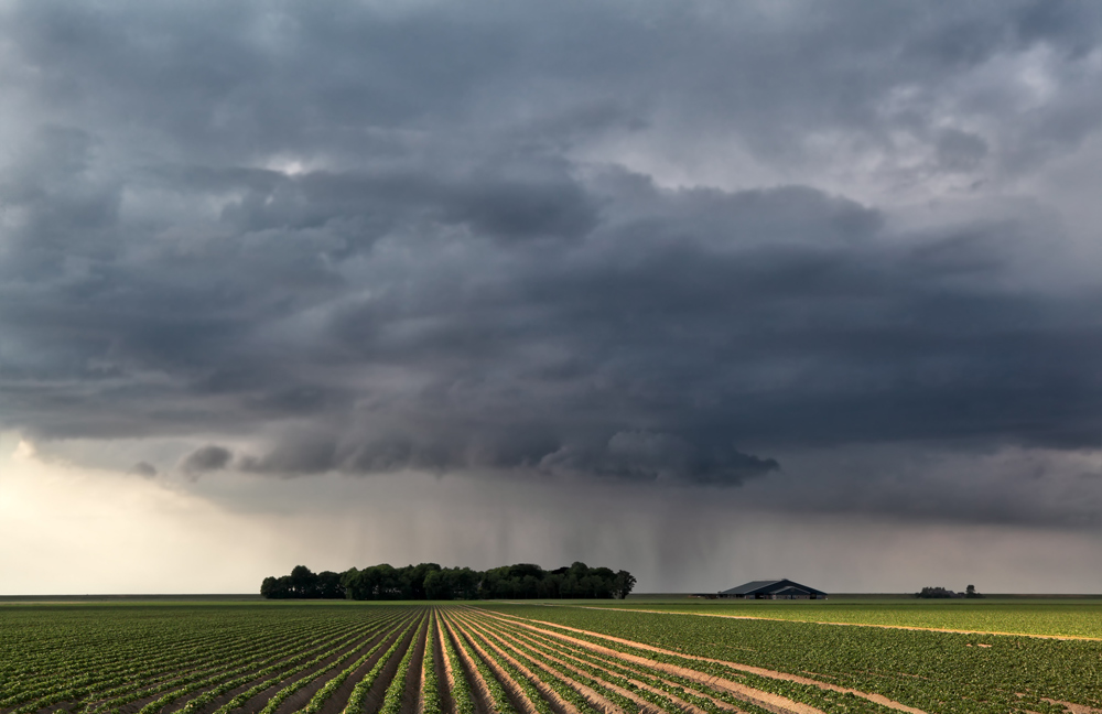 Roof Storm Damage Assessment: What to Check and What to Do Next